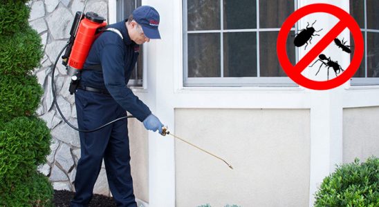 Gölbaşı Bit İlaçlama böcek ilaçlama ve haşere kontrolü — ilaclama-tr.com